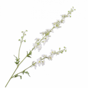 Delphinium tak wit 122cm
